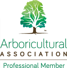 Arboricultural Association Professional Member